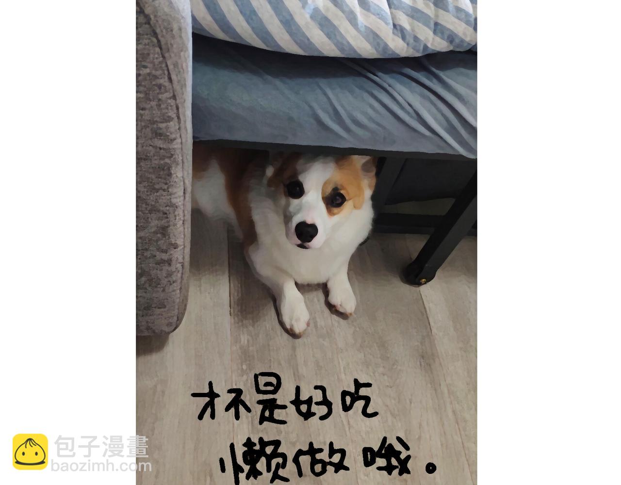 正确方法&打断-第22话