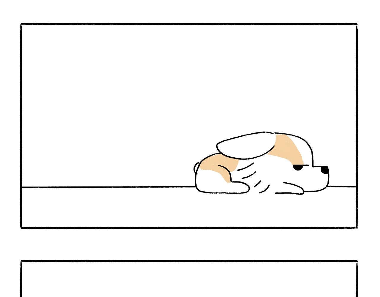 特别话：为了爱而记录-第26话