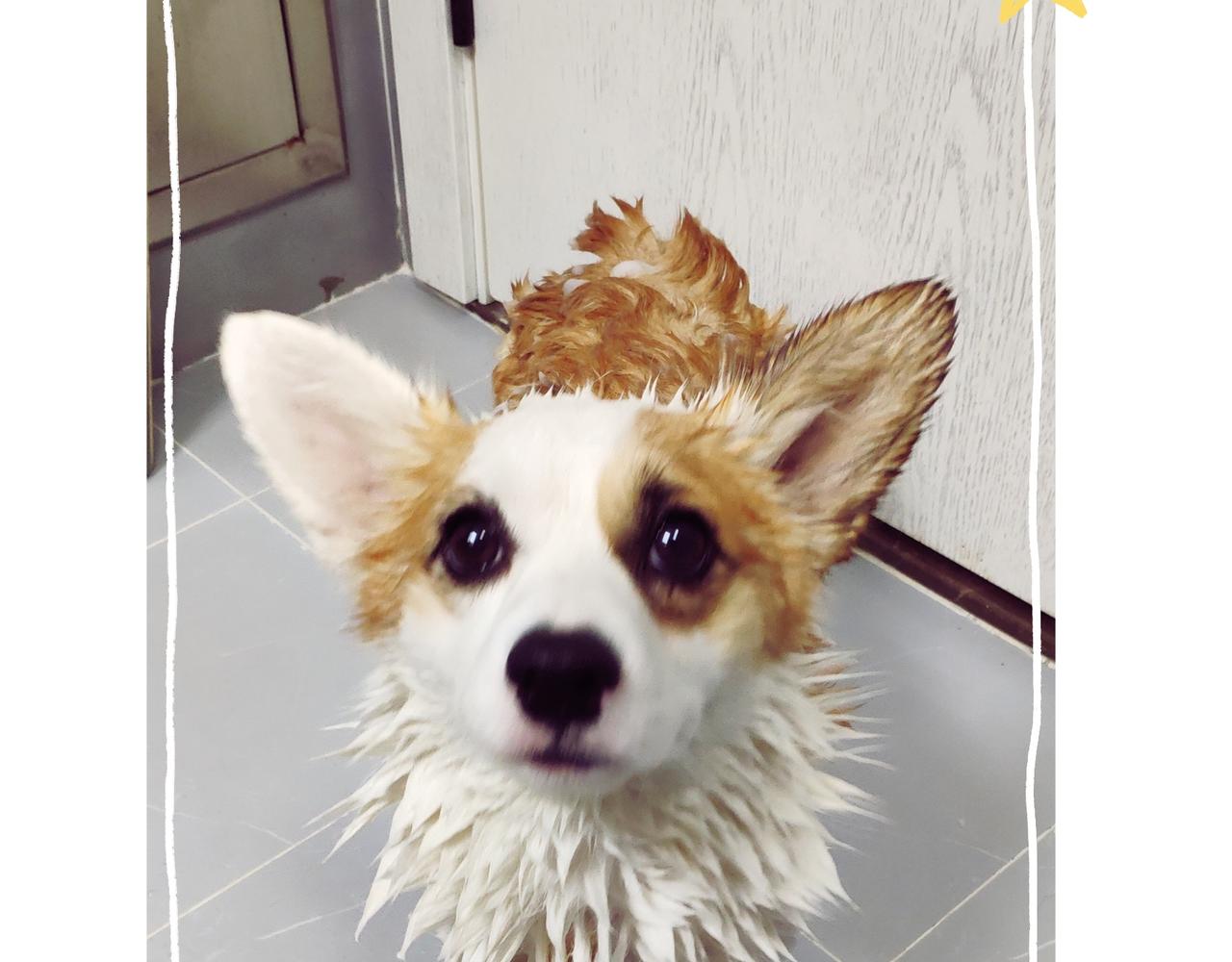 仪容仪表很重要！-第30话