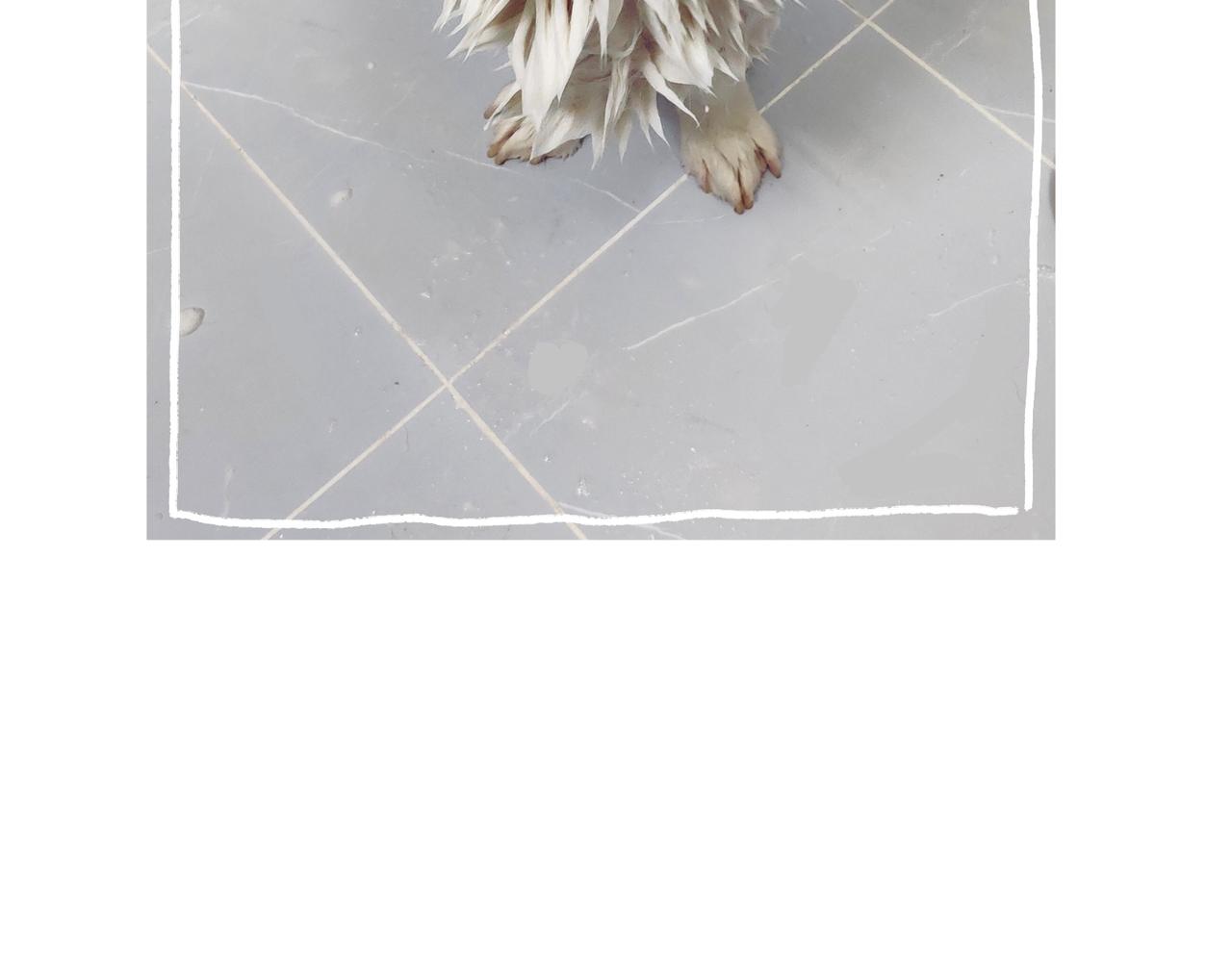 仪容仪表很重要！-第30话