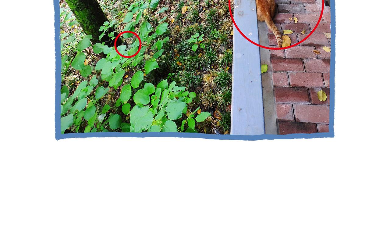 仪容仪表很重要！-第30话