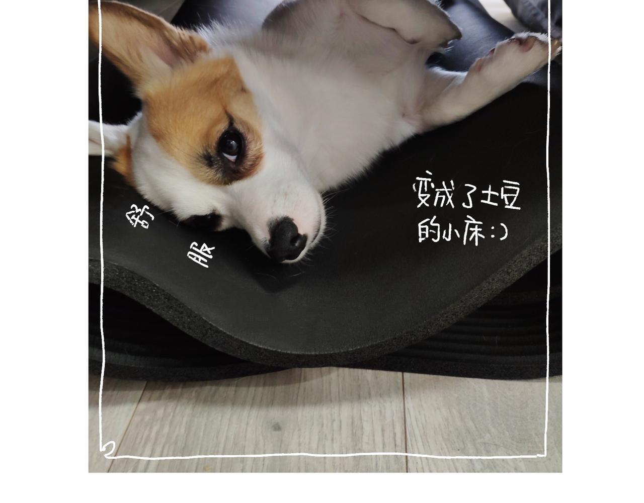 坚持锻炼-第32话