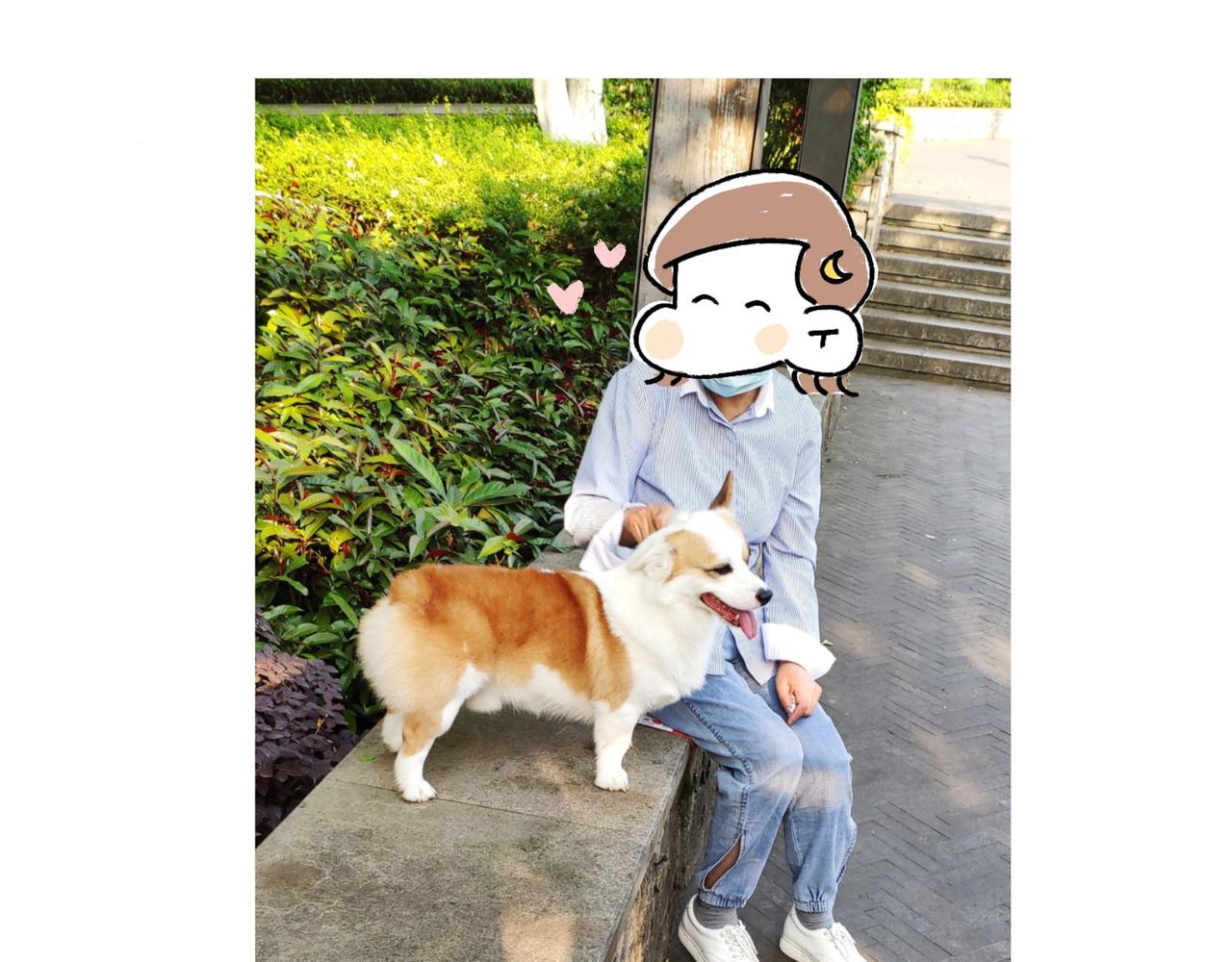 麻吉麻吉-第36话