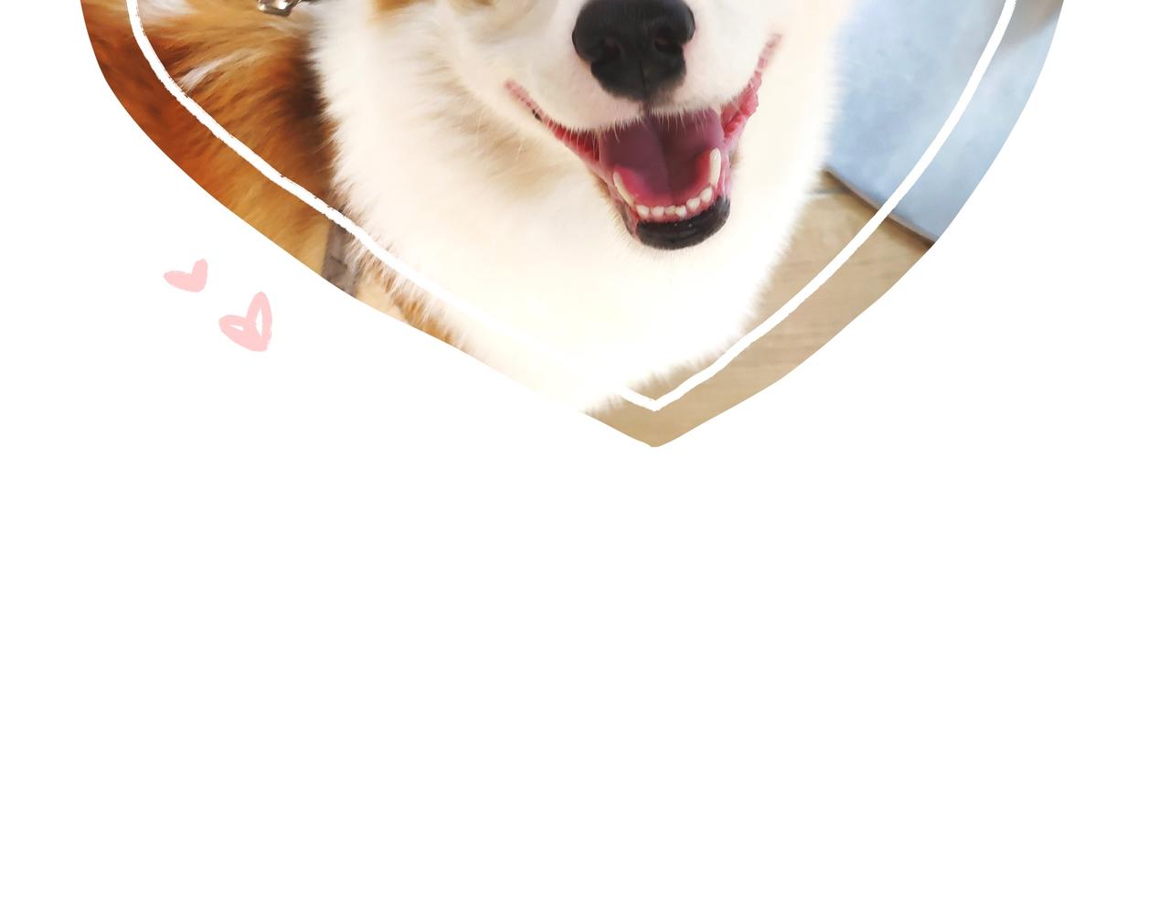 购物狂欢节-第38话