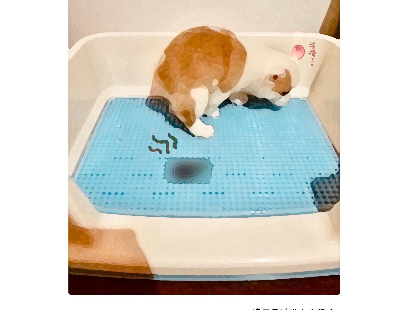 文明如厕与计划败露！-第4话