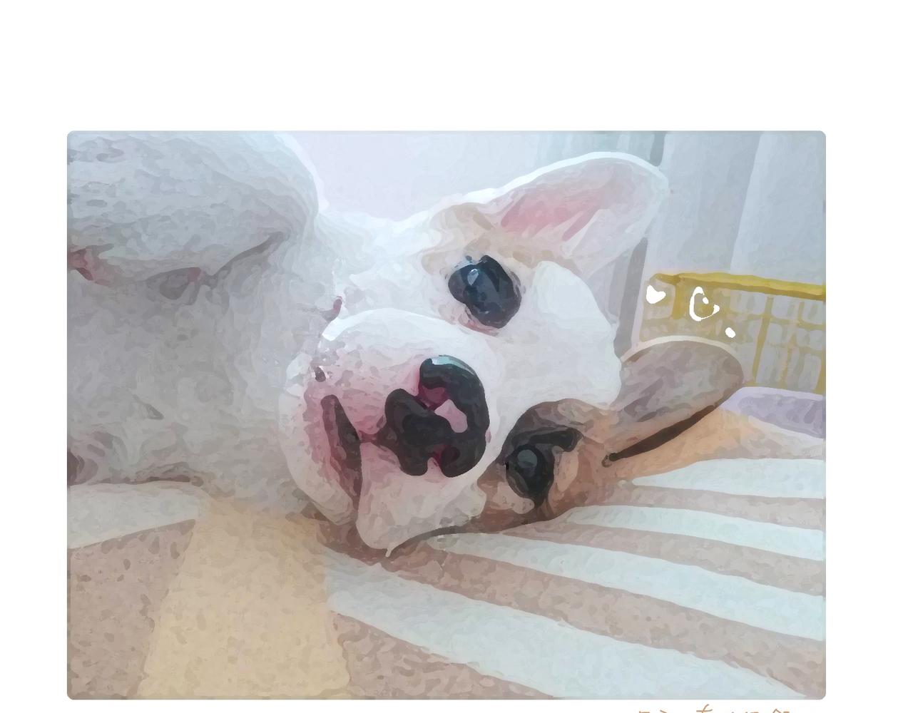 文明如厕与计划败露！-第4话