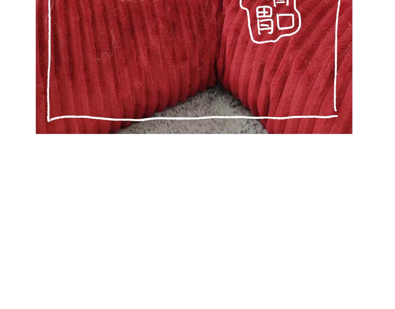 出浴即巅峰-第40话