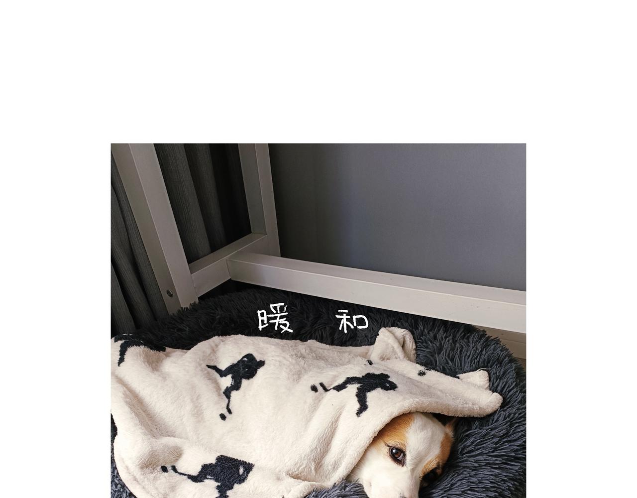 哎呀！冬天！-第42话