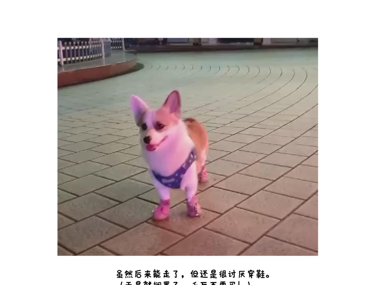 哎呀！冬天！-第42话