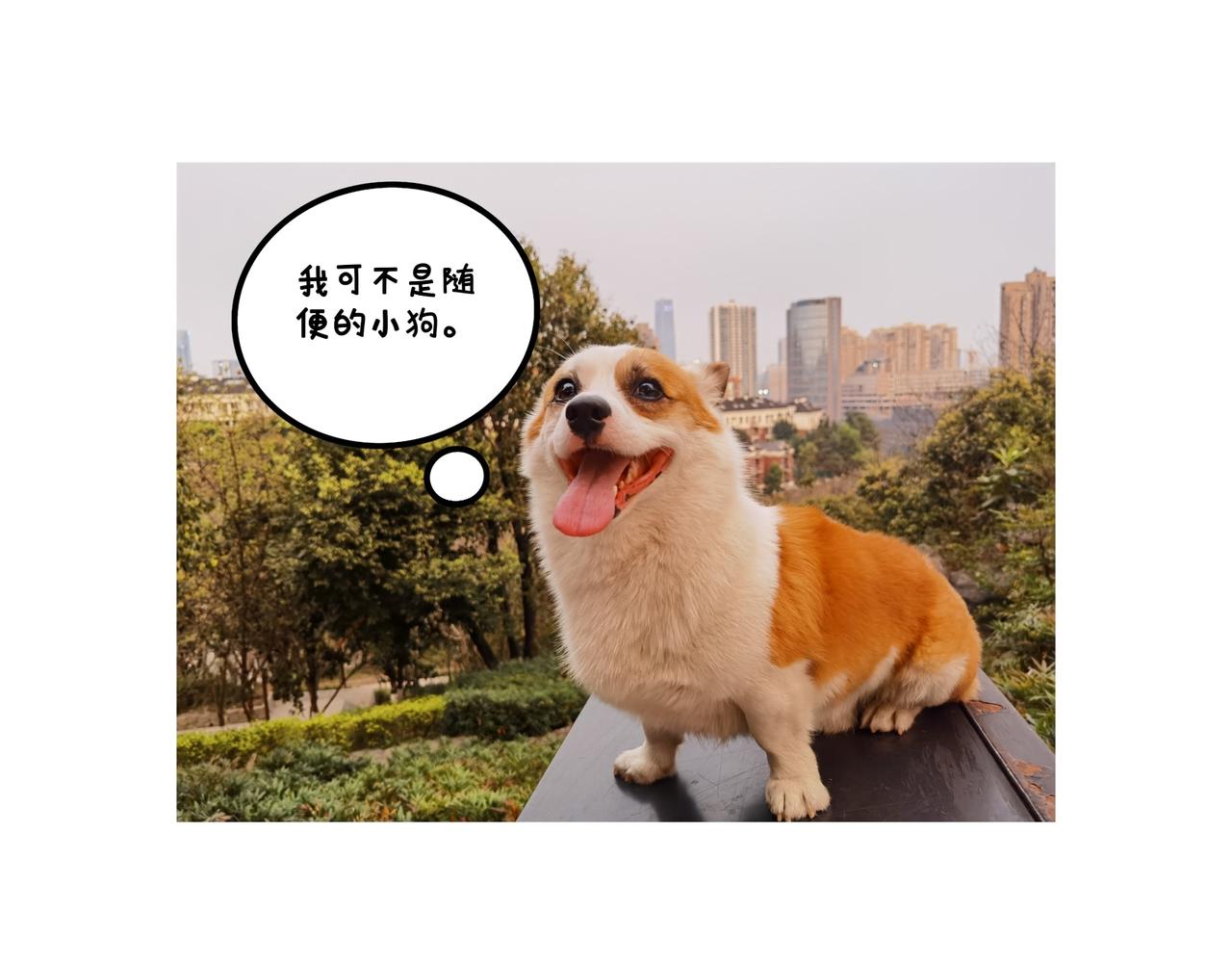 爸爸的科普频道3-第48话