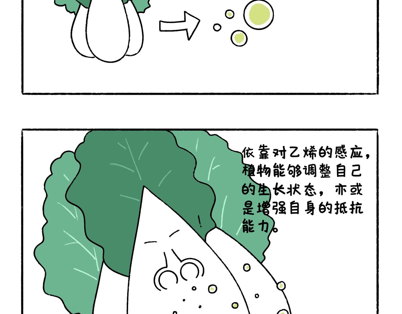 爸爸的科普频道3-第48话