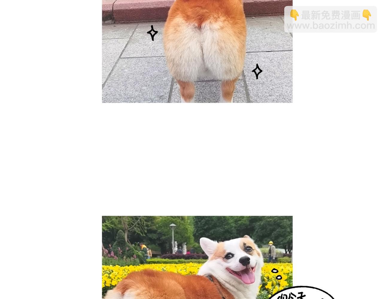 爸爸的故事大全III-第50话