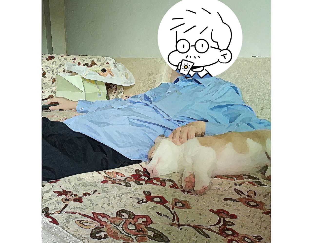 爸爸妈妈的爱-第6话