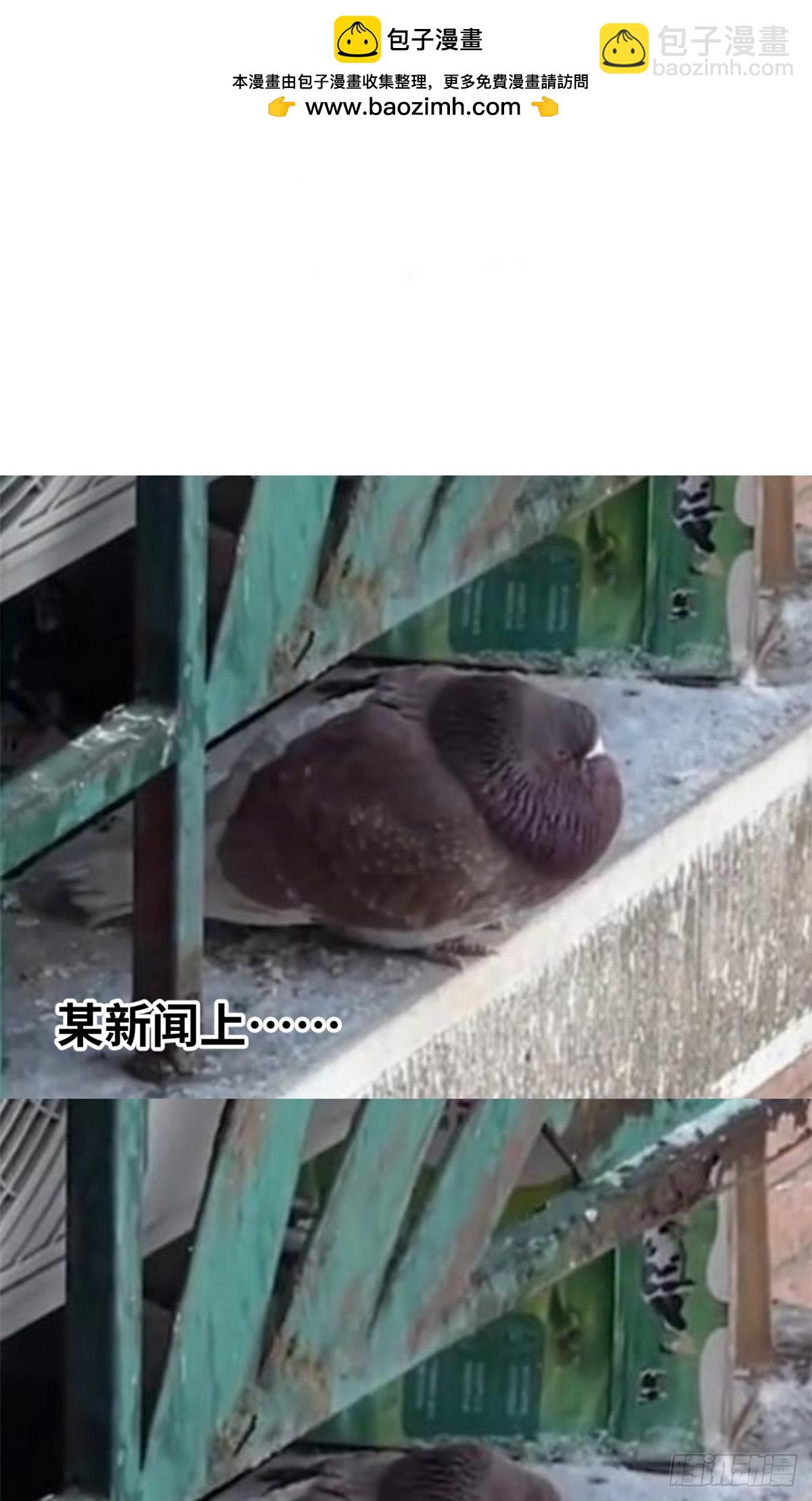 頂級氣運，悄悄修煉千年 - 178 天下第一的挑戰(1/2) - 2