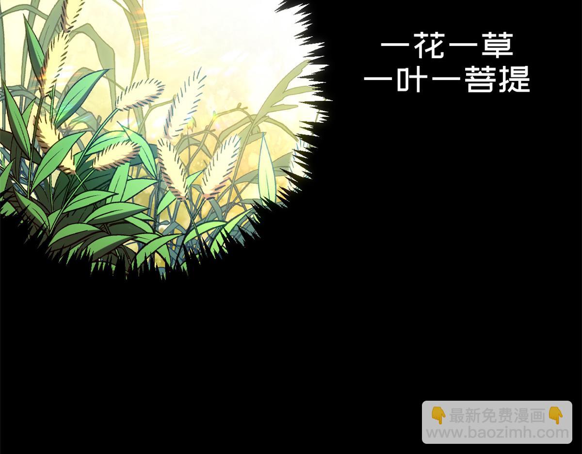 頂級氣運，悄悄修煉千年 - 212 立地金丹(3/5) - 8