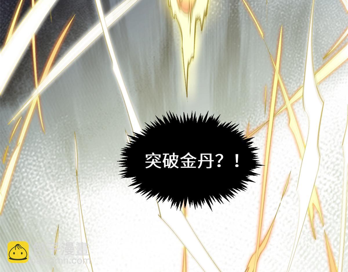 頂級氣運，悄悄修煉千年 - 212 立地金丹(4/5) - 7