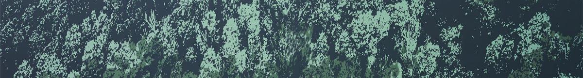 頂級氣運，悄悄修煉千年 - 232(4/4) - 8