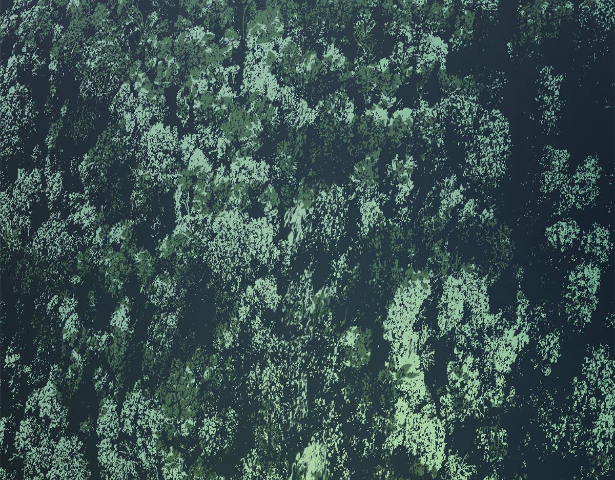 頂級氣運，悄悄修煉千年 - 232(4/4) - 1