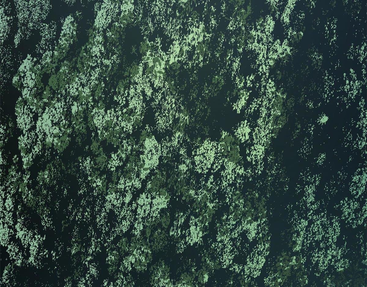 頂級氣運，悄悄修煉千年 - 232(4/4) - 2