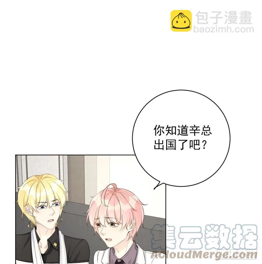 34 他更懂辛总(1/2)-第36话