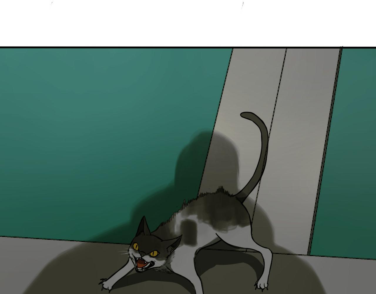 第14话 冲突(1/3)-第14话