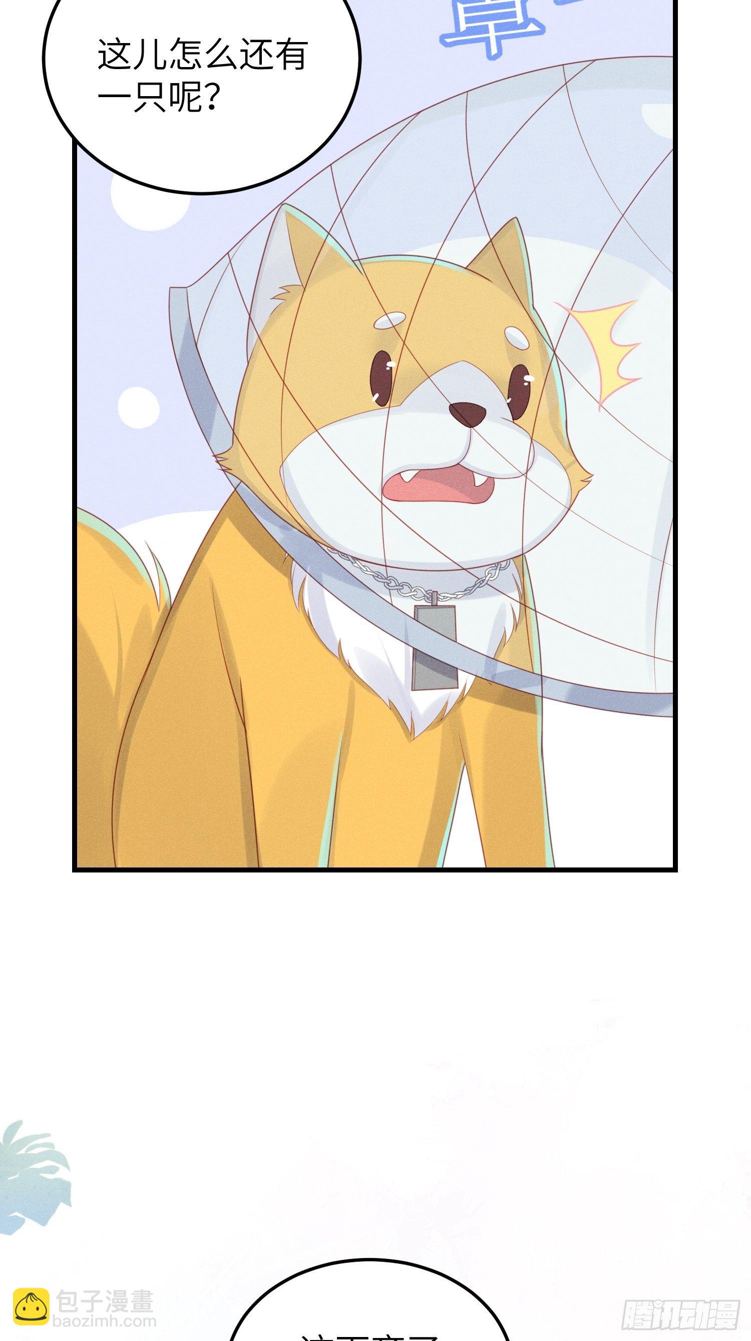 人类的好朋友(1/2)-第22话