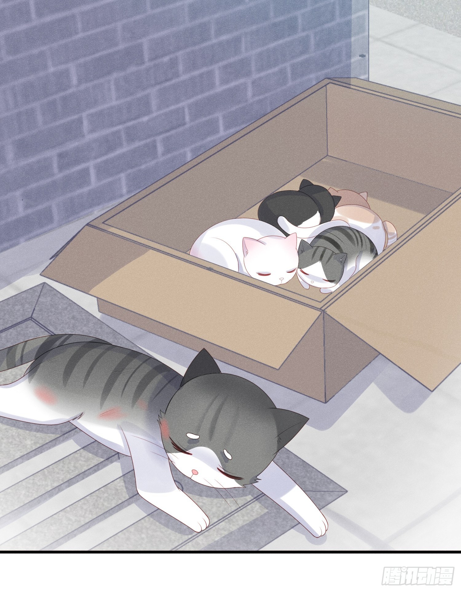 幼猫与虐猫畜牲-第28话