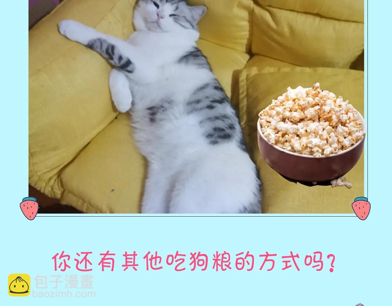 頂流夫婦有點甜 - 第12期 吃狗糧的正確姿勢（日更中） - 2