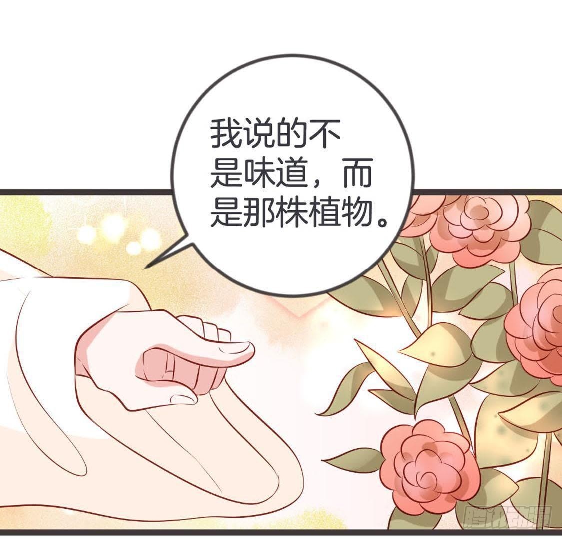 第94话 赤叶山茶(1/2)-第96话