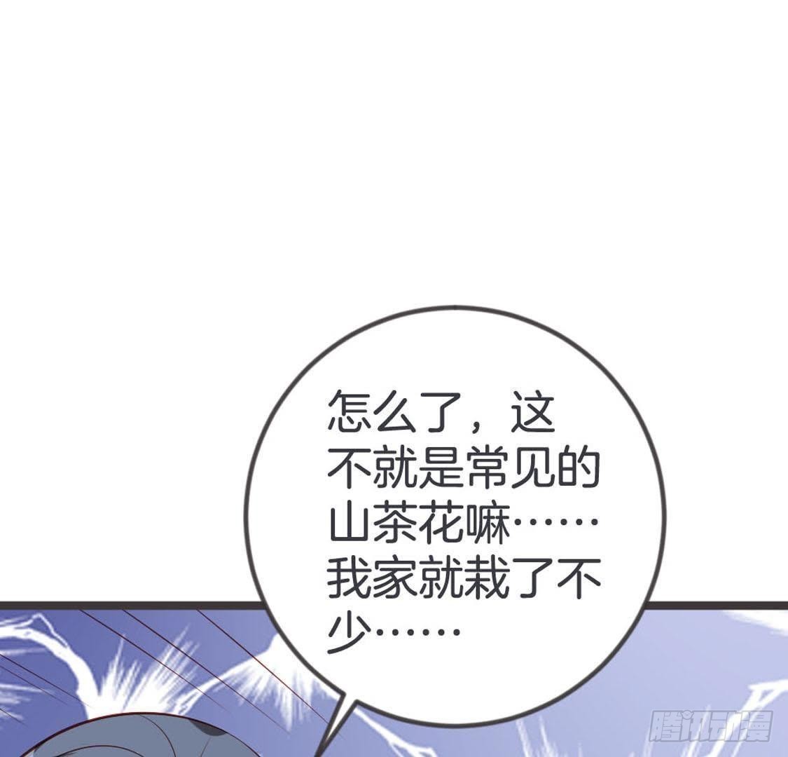 第94话 赤叶山茶(1/2)-第96话