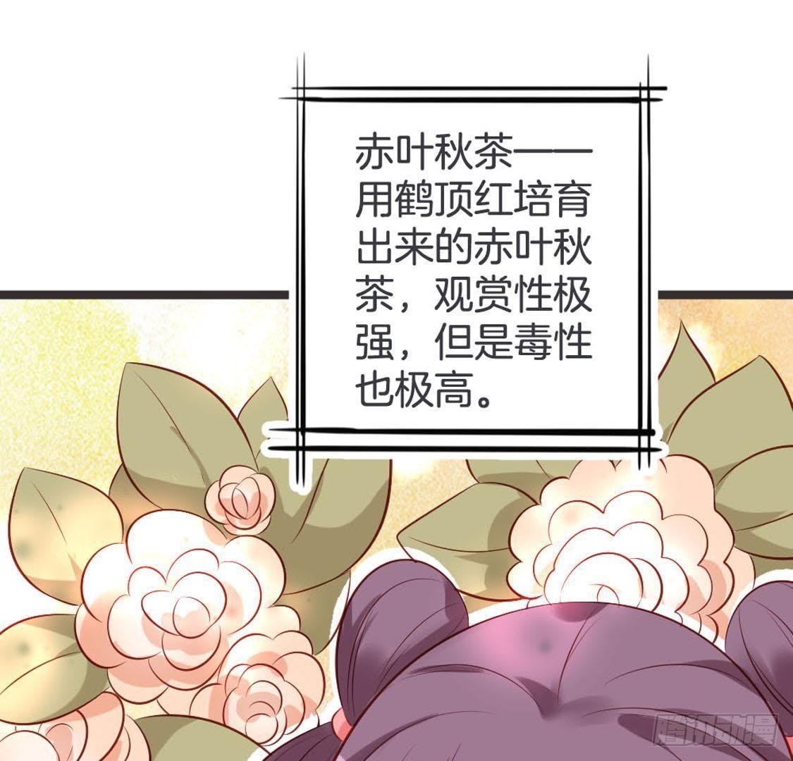 第94话 赤叶山茶(1/2)-第96话