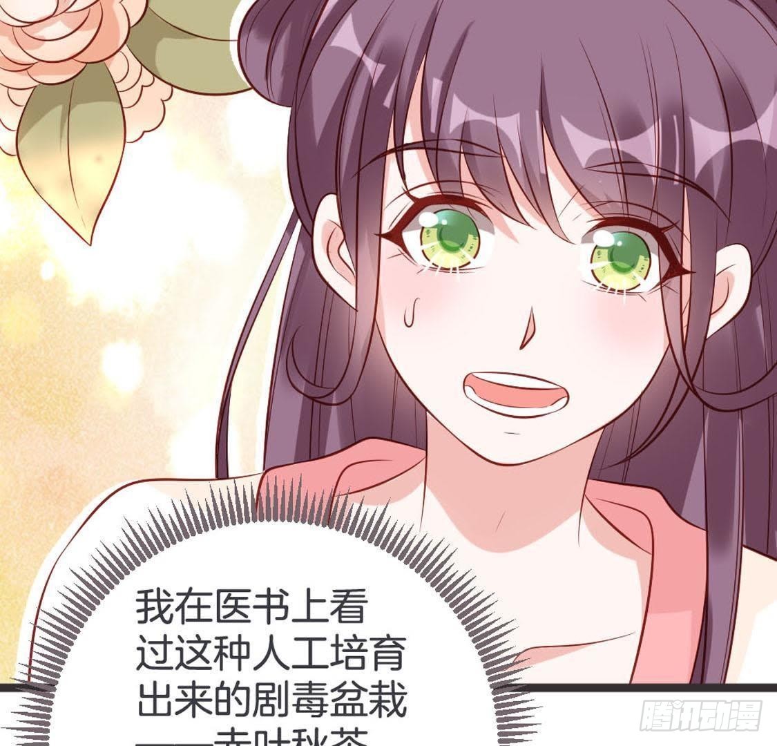 第94话 赤叶山茶(1/2)-第96话