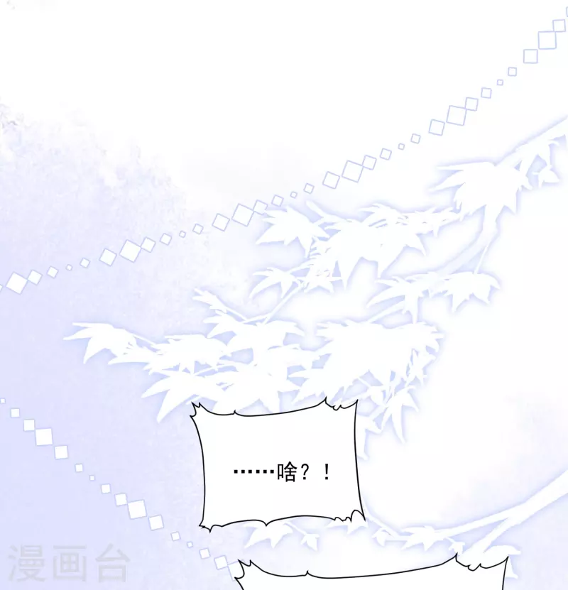 第11话 奢华高调-第12话