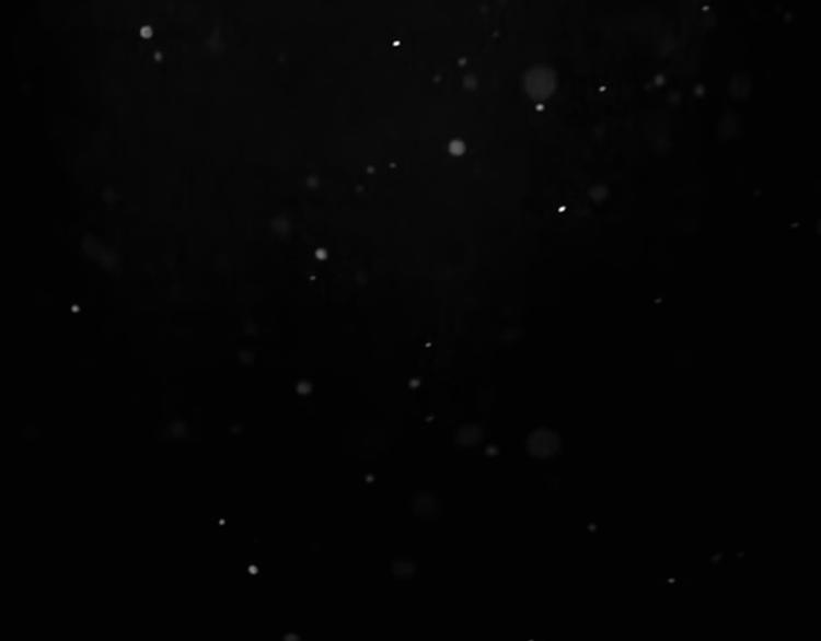 第二十八话 再见朋友(1/5)-第28话