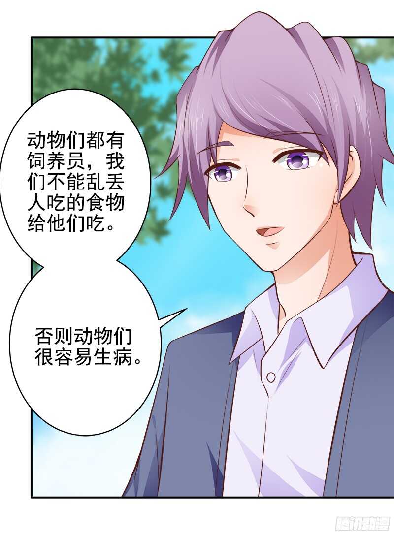 第35话  周末去动物园-第36话