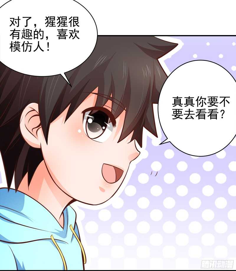 第35话  周末去动物园-第36话