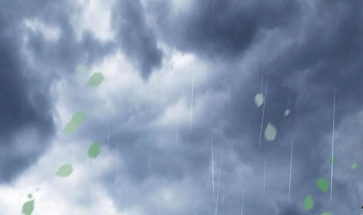 第15话 逐渐开始的报复！(1/2)-第16话