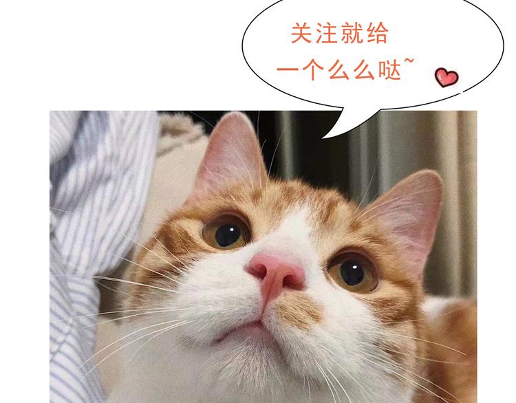 第3话 网红鲜肉营业中！(1/2)-第4话