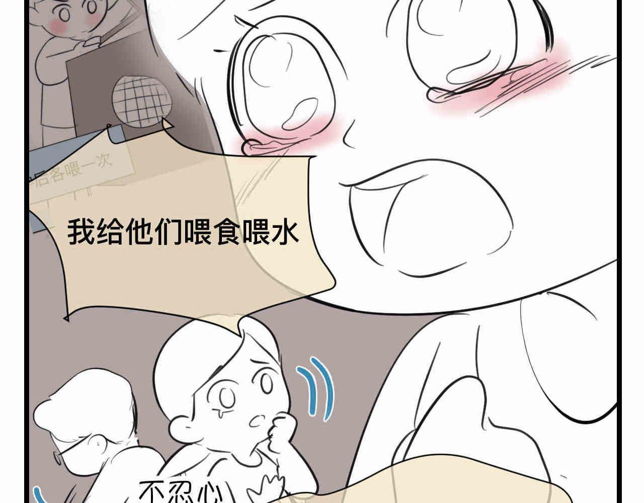 98.小鸡的重量-第98话