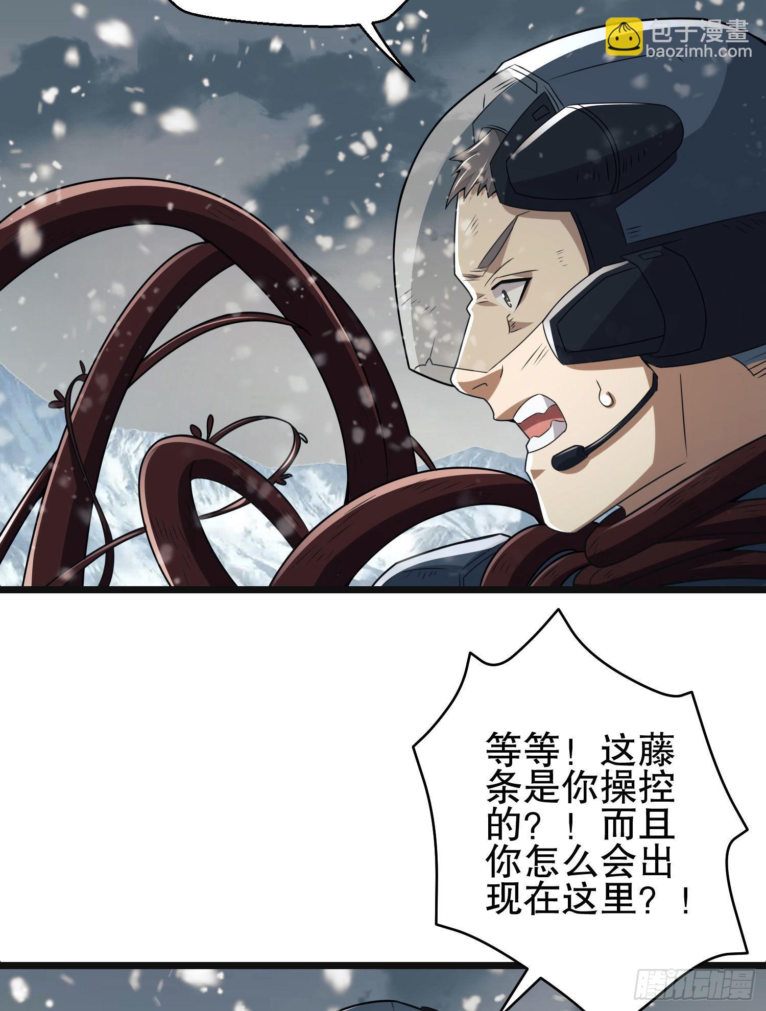 41.jpg