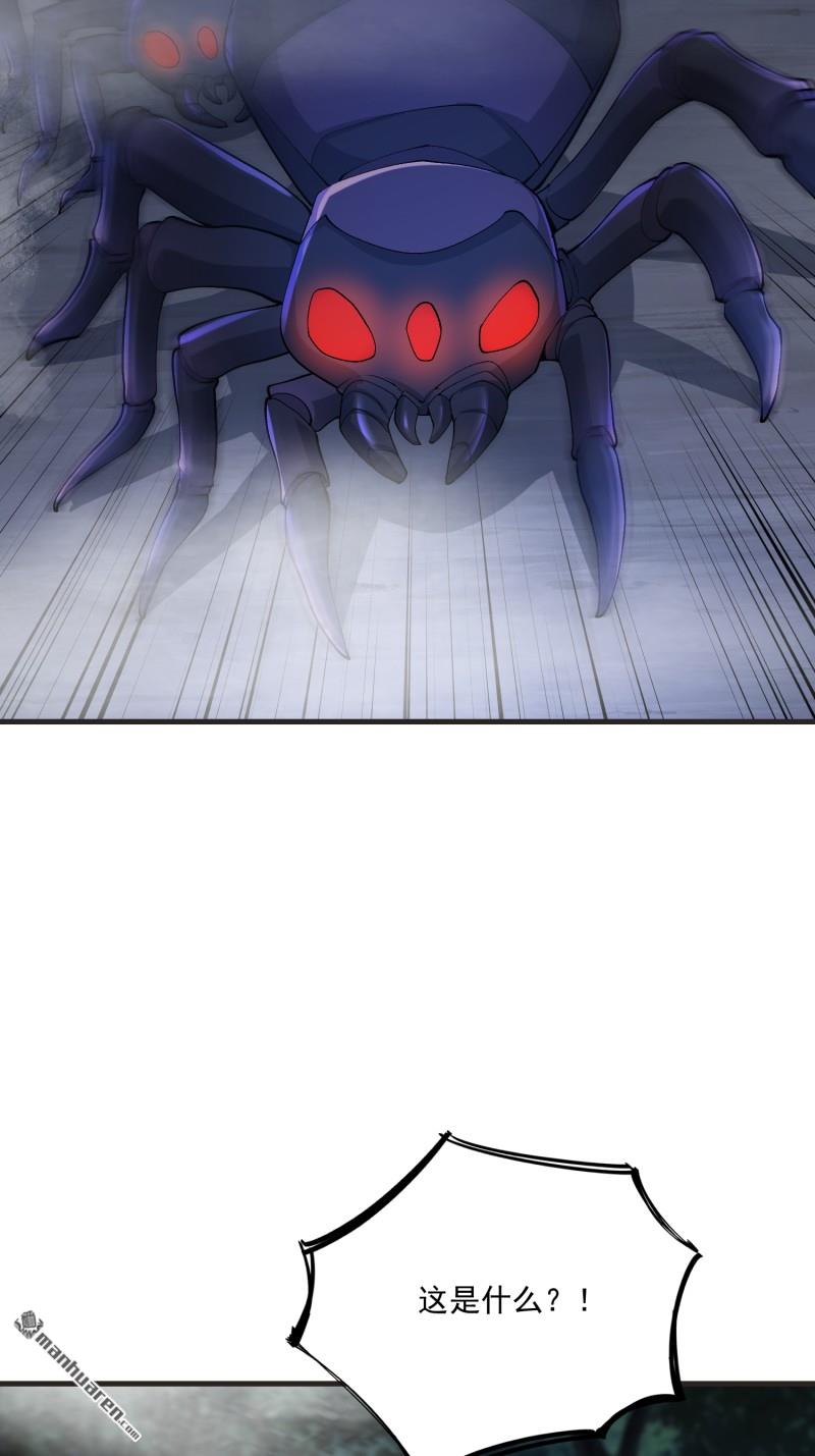 31.jpg