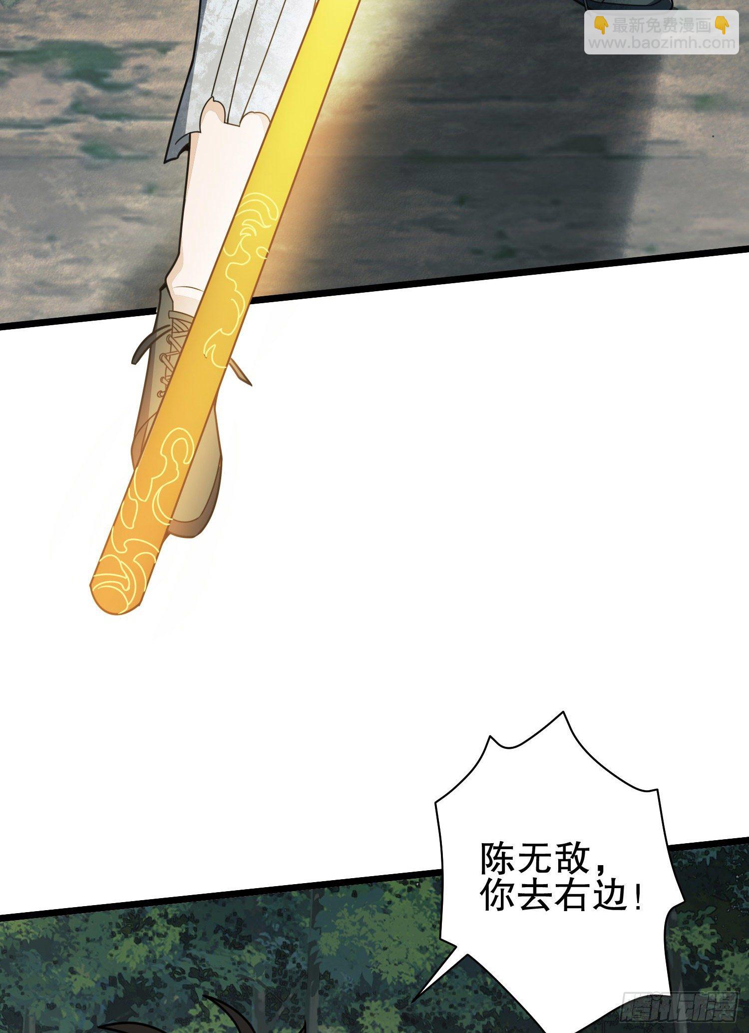 51.jpg