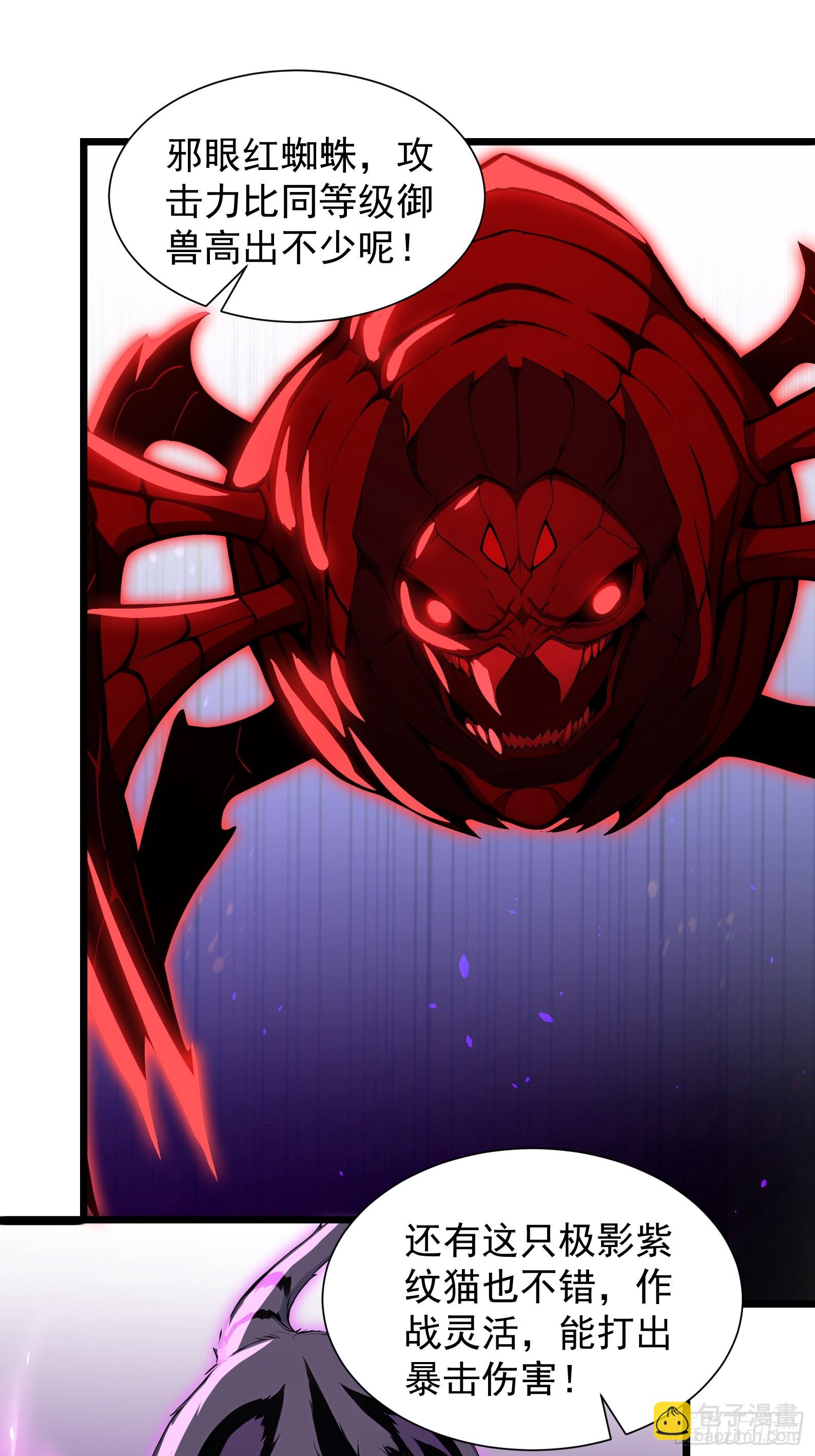 28 喵喵御兽商店(1/2)-第28话