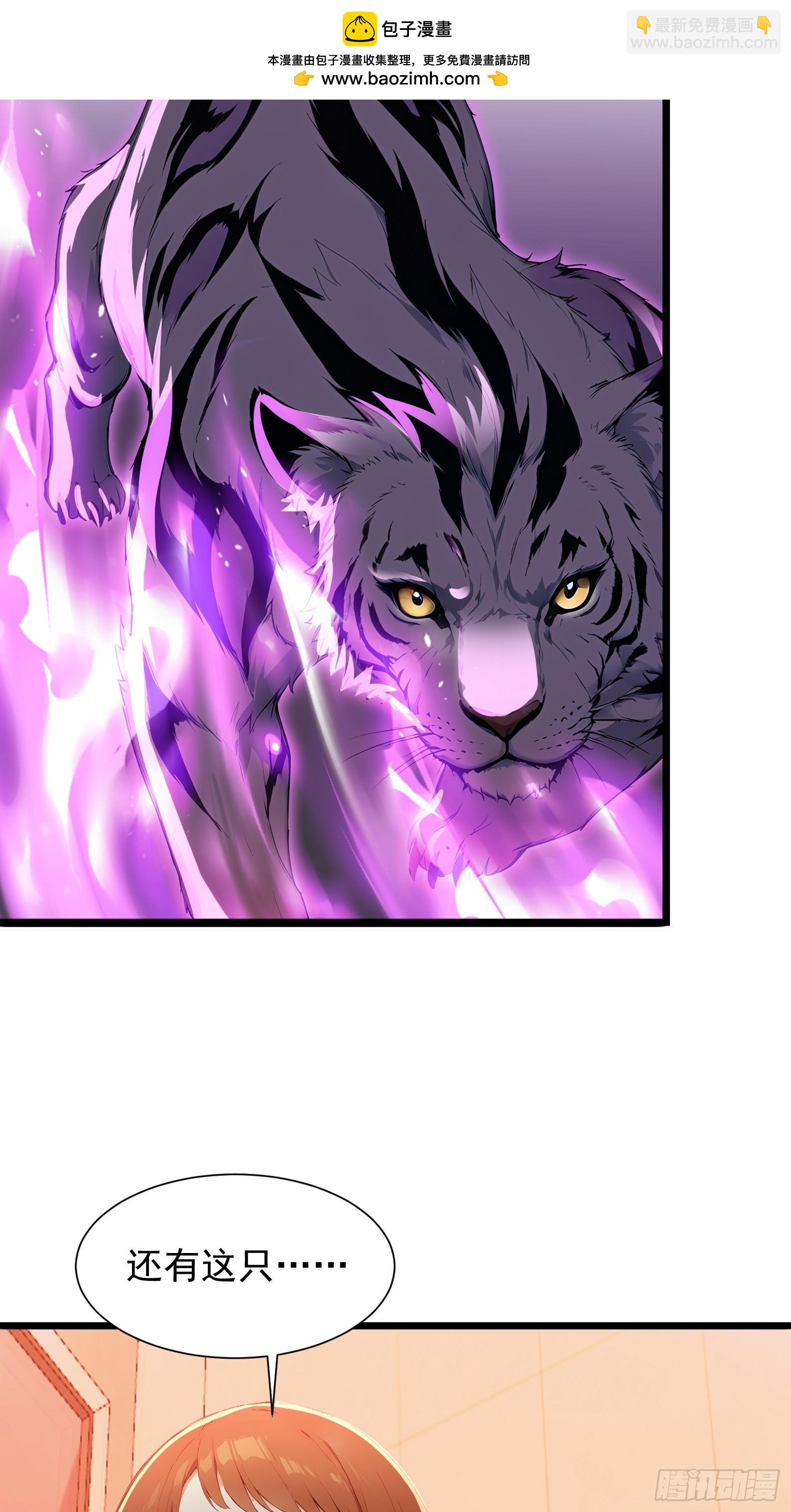 28 喵喵御兽商店(1/2)-第28话