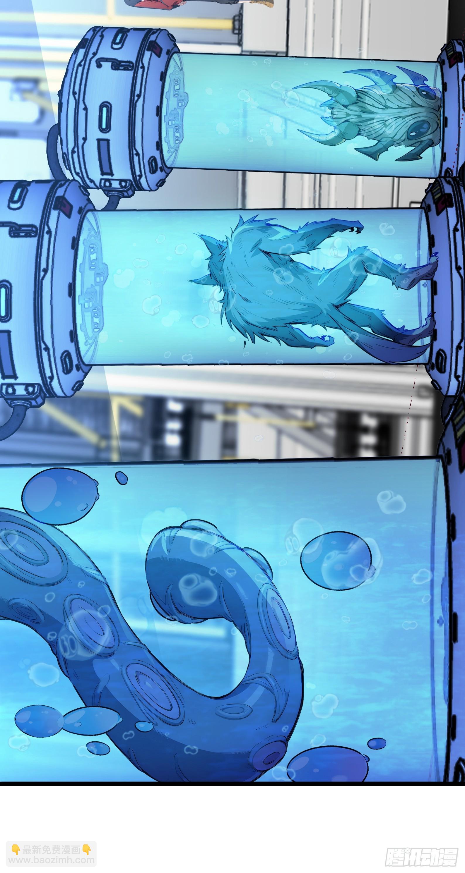 28 喵喵御兽商店(1/2)-第28话