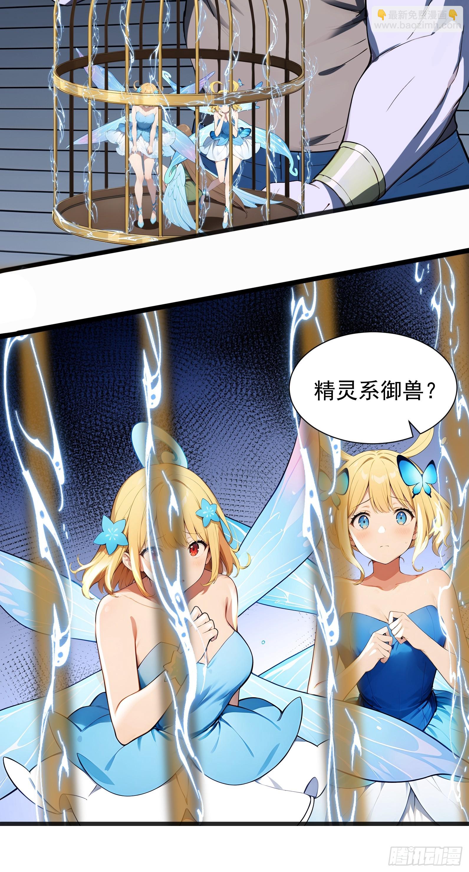 28 喵喵御兽商店(1/2)-第28话