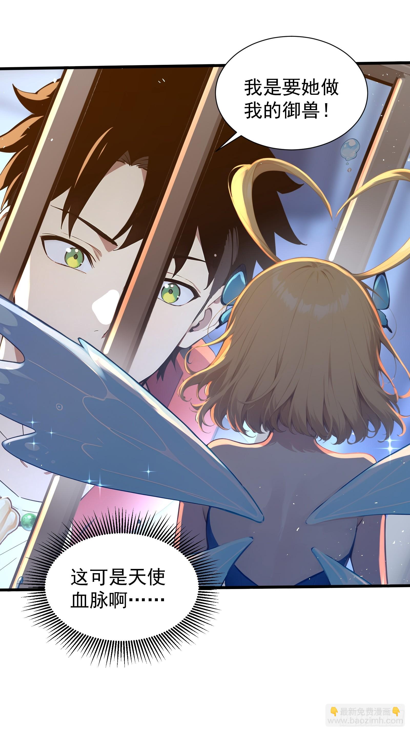 28 喵喵御兽商店(1/2)-第28话