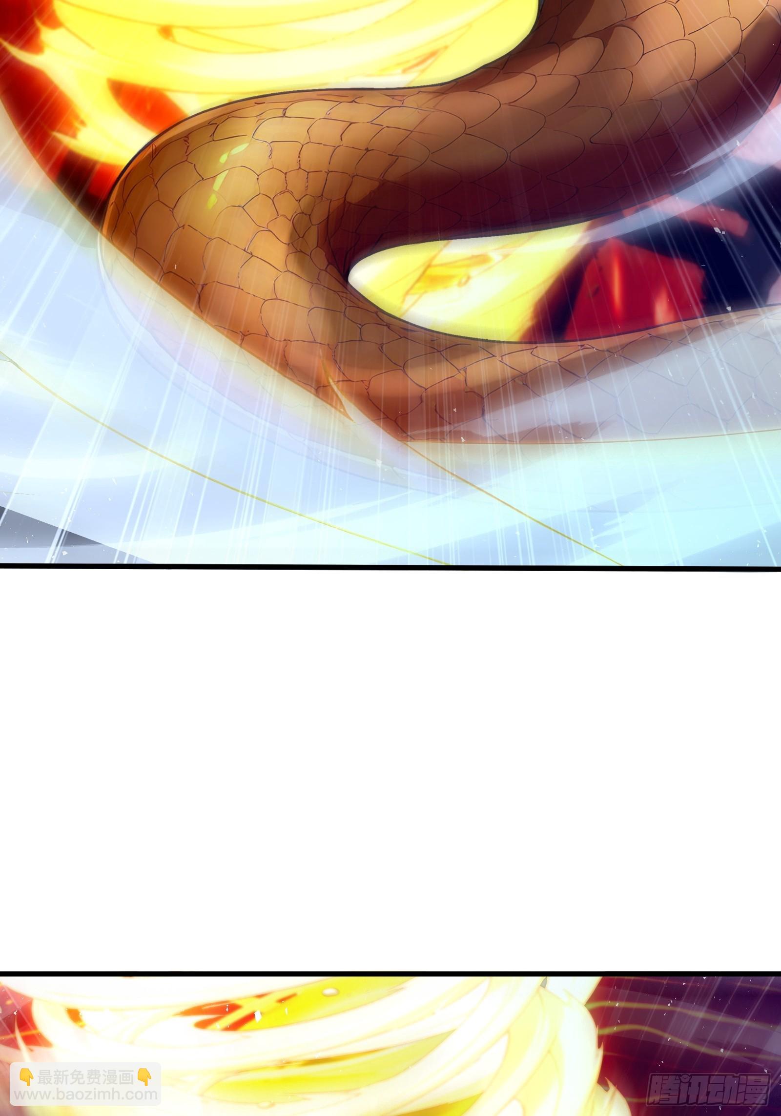 40 超出认知的御兽(1/2)-第40话