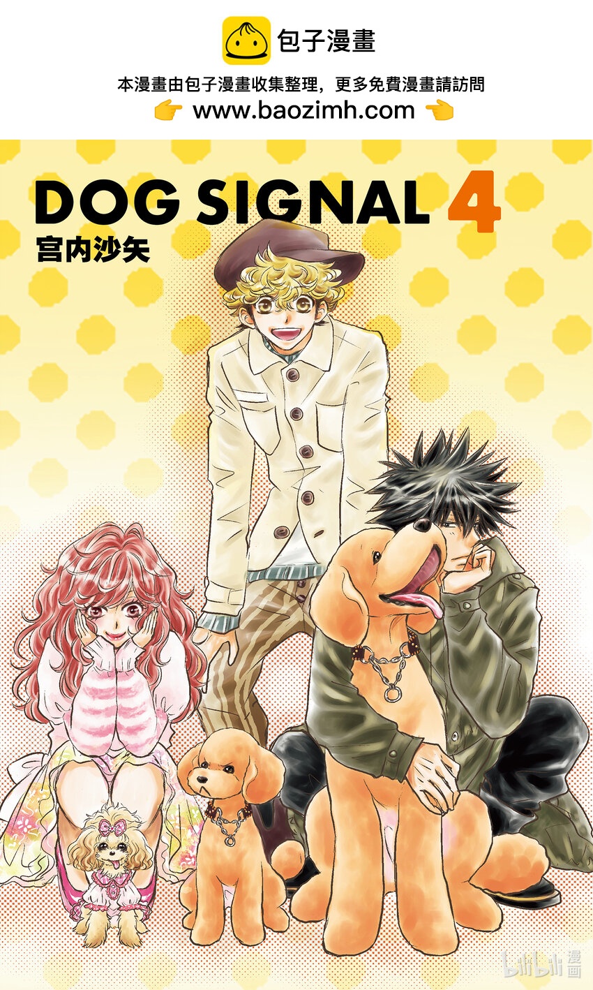 DOG SIGNAL - 16 16 - 2