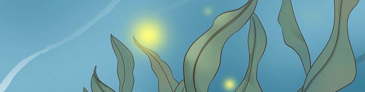 第十二话(1/2)-第14话